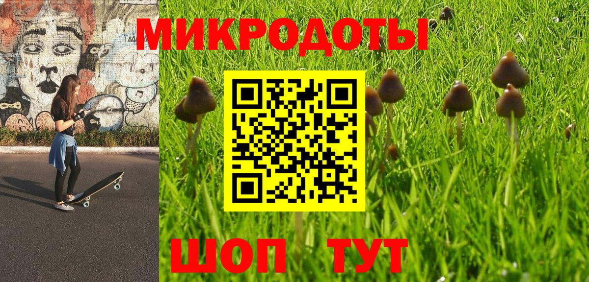 Галлюциногенные грибы Magic Shrooms  Вход с VPN  Псилоцибиновые грибы Psilocybe  Отрадный 
