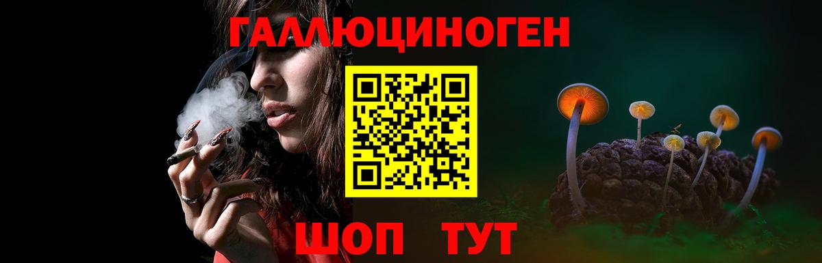 Псилоцибиновые грибы MAGIC MUSHROOMS Отрадный